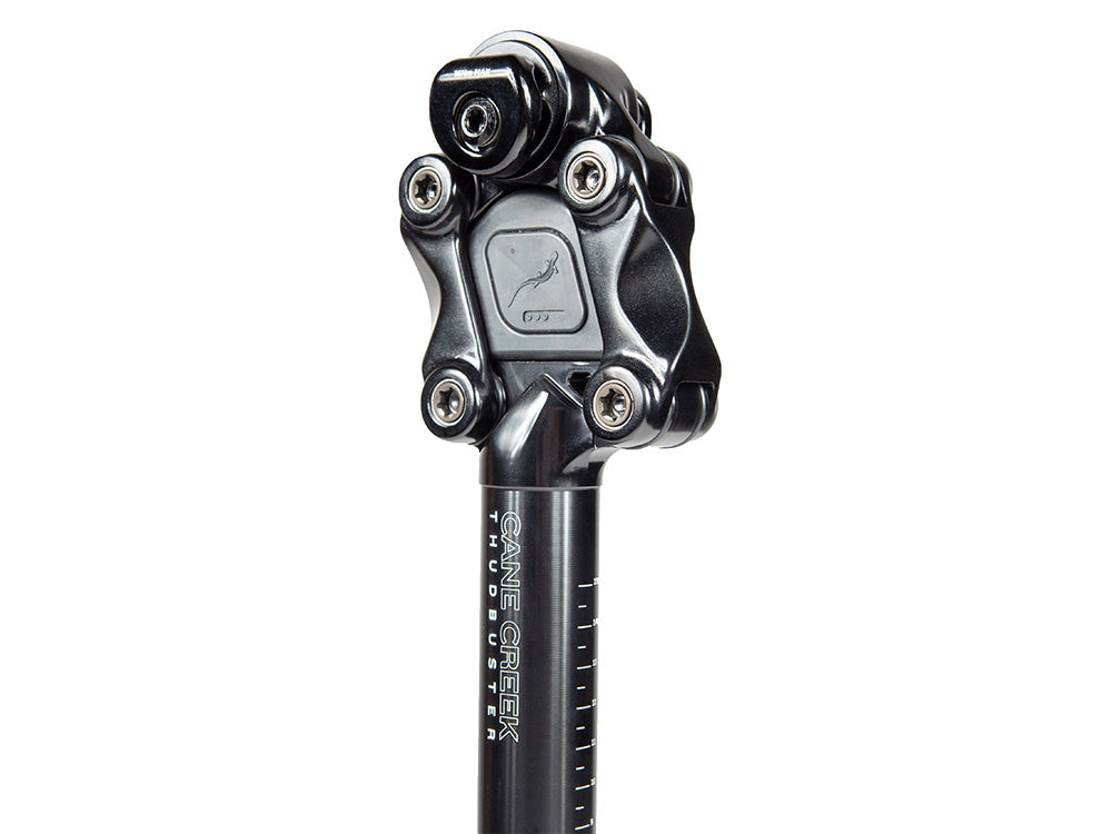 Cane Creek Thudbuster Suspension Seatpost ST – Protune Solutions